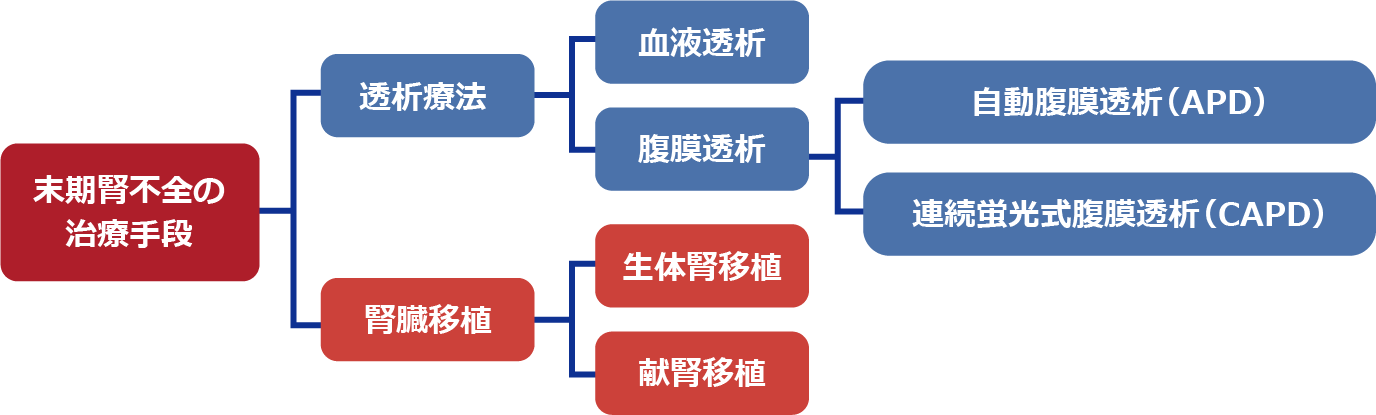 慢性腎臓病（CKD）の外科治療 | 慢性腎臓病 | ONO MEDICAL NAVI 一般・患者さん向け | 小野薬品